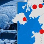 Recent Bed Bug Surge in the UK Raises Alarm