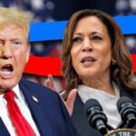 Can Kamala Harris Beat Donald Trump in 2024 ? Latest poll updates