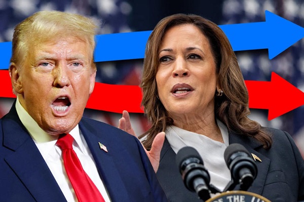 Can Kamala Harris Beat Donald Trump in 2024 ? Latest poll updates